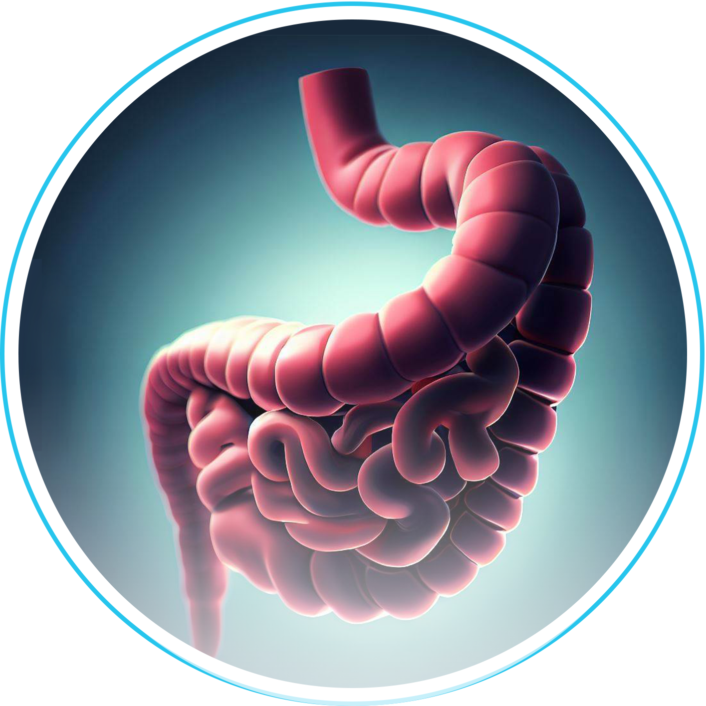 تكميم المعدة