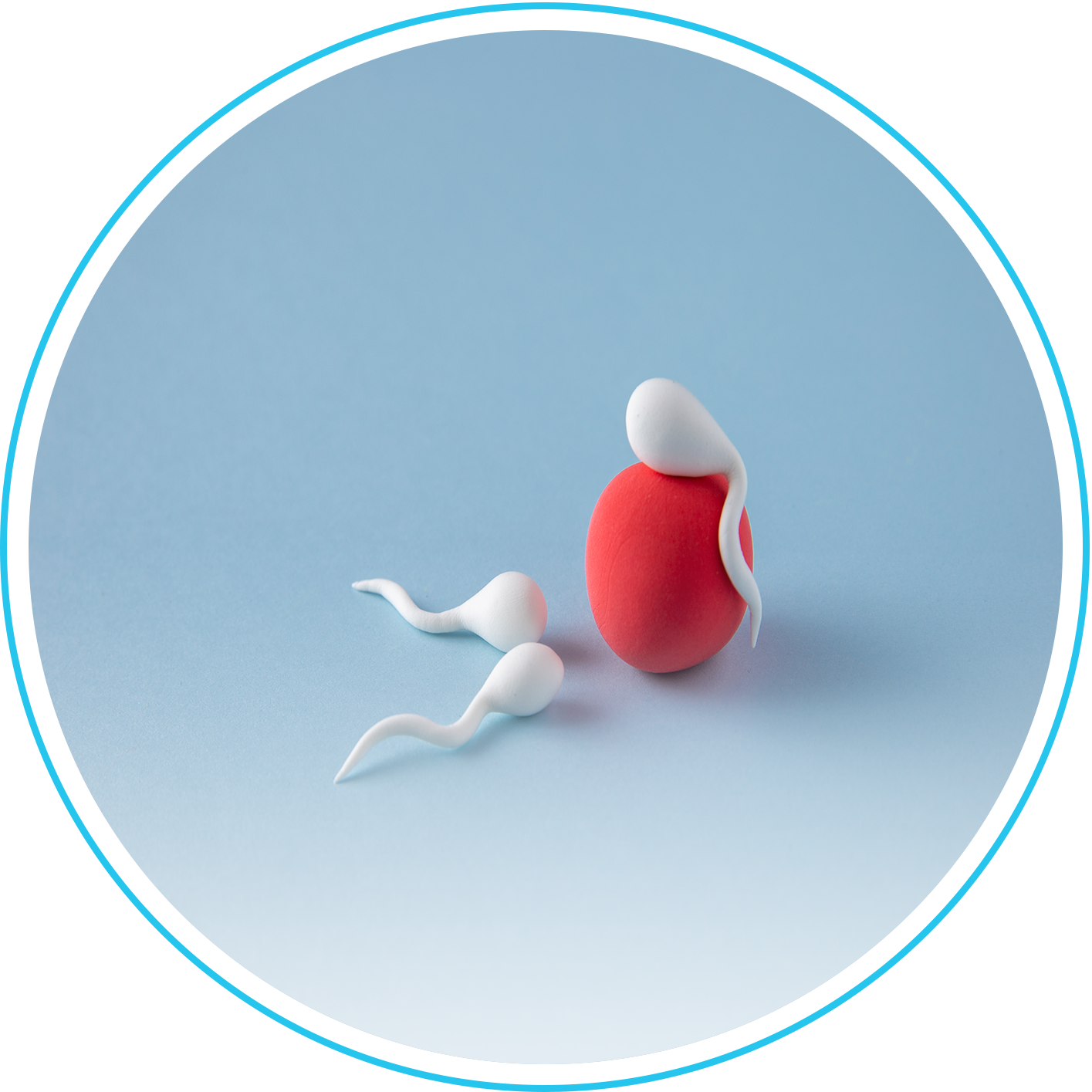 أخذ عينة من الخصية