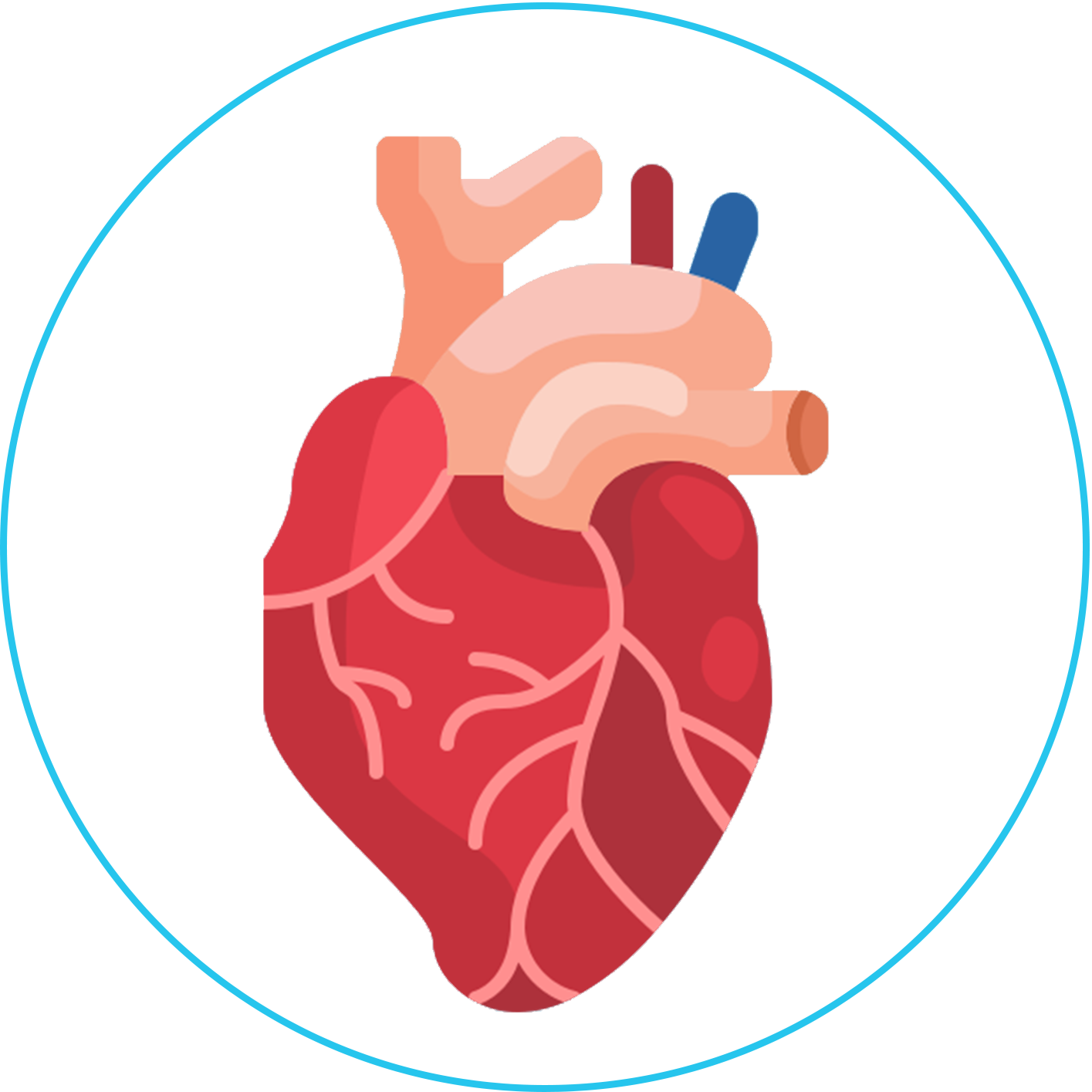 جراحات القلب والصدر