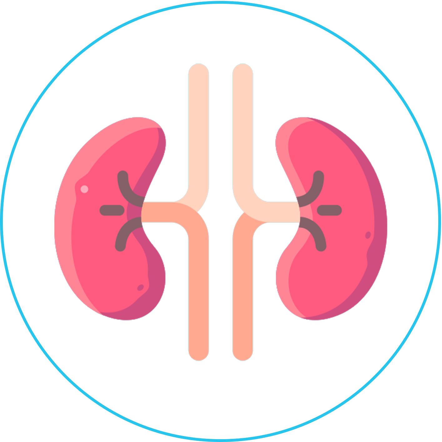 جراحة المسالك البولية