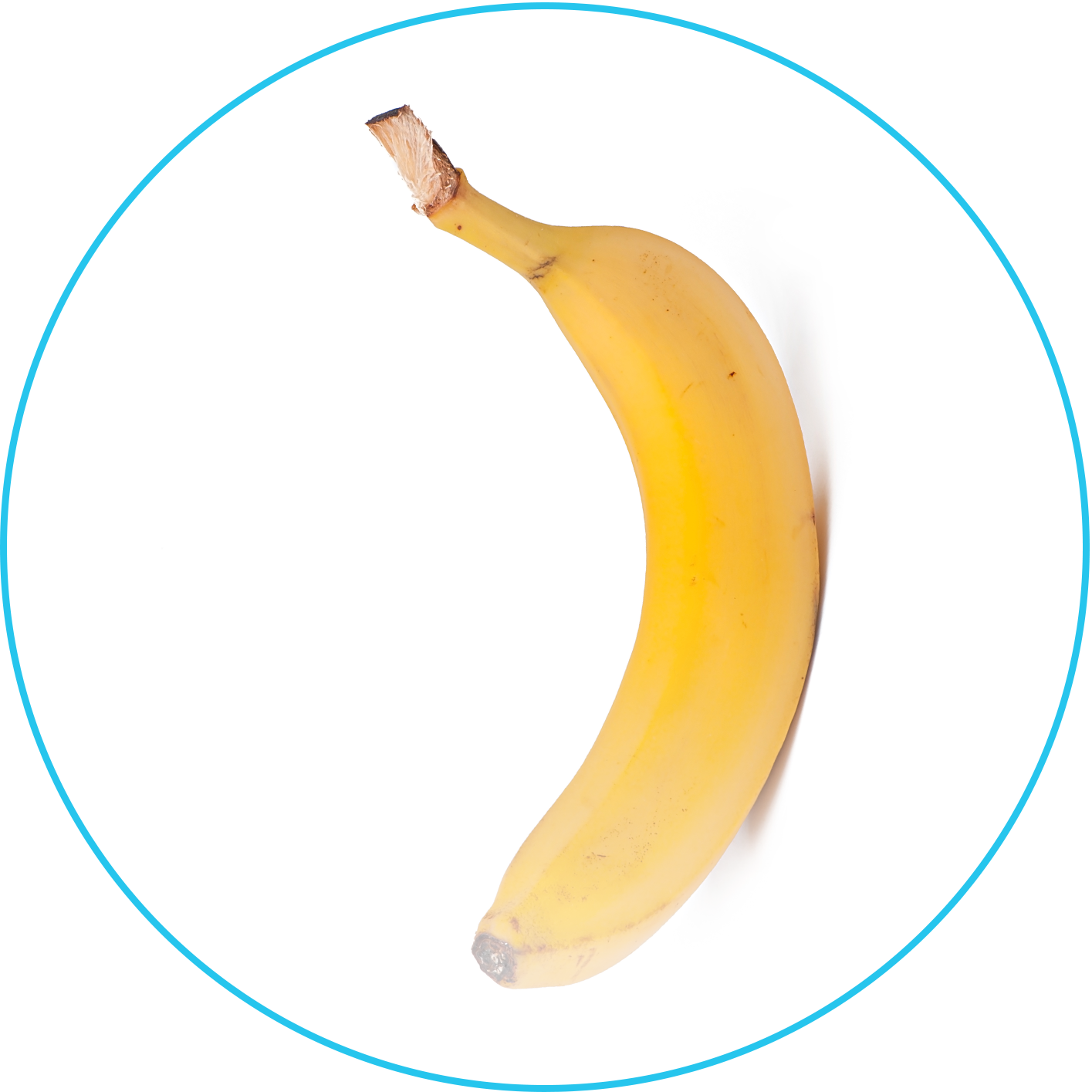 إصلاح إعوجاج القضيب