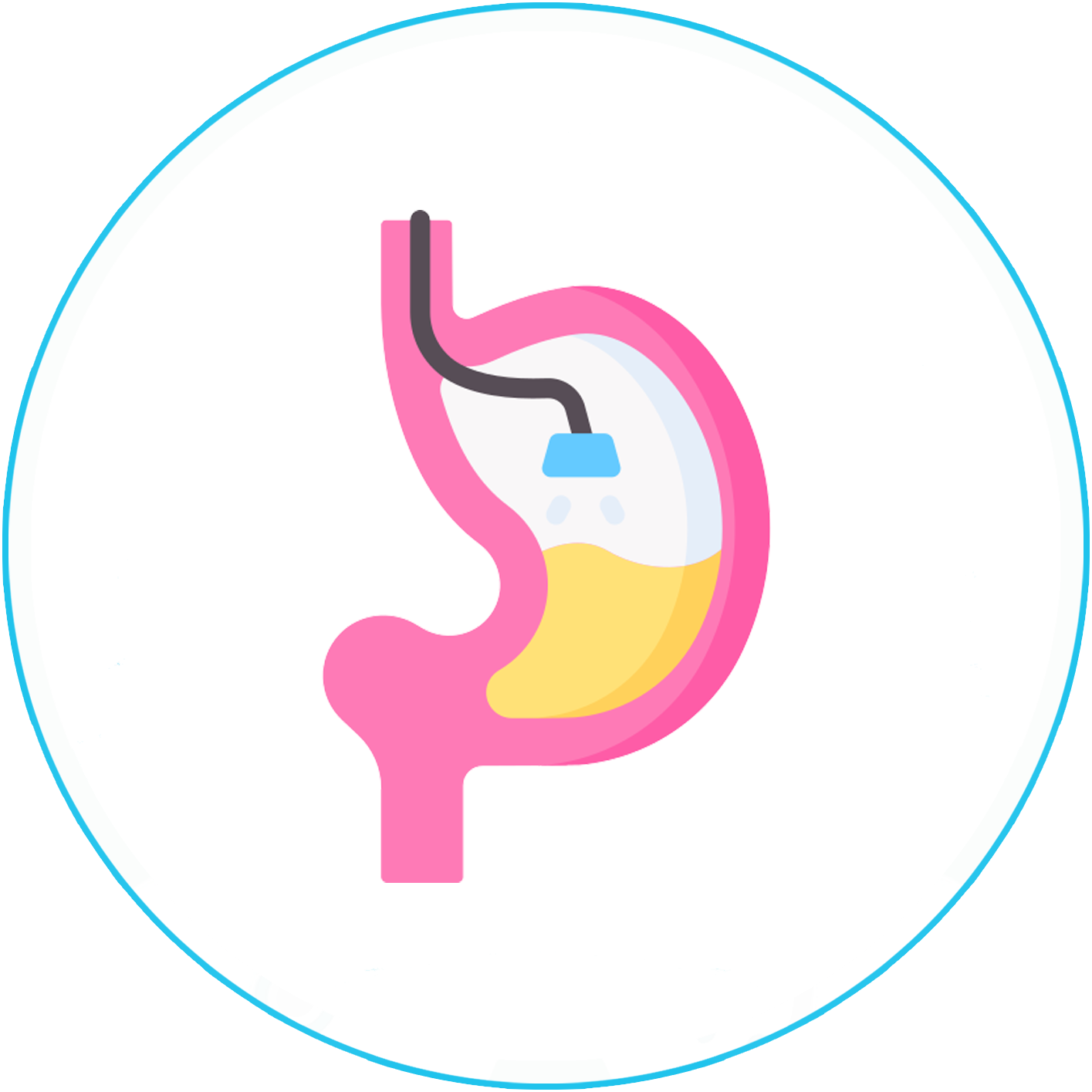 الجهاز الهضمي والمناظير