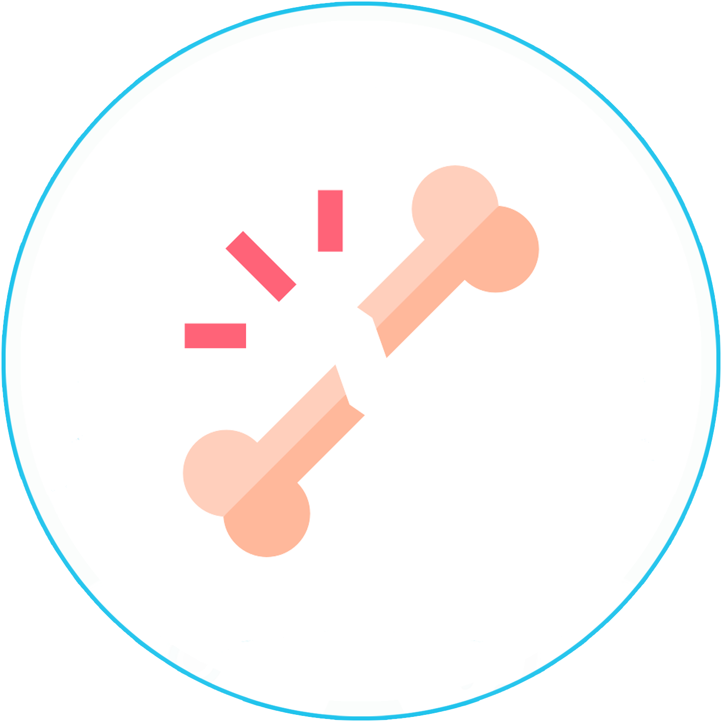 العظام والمفاصل